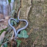 Collana artigianale con ciondolo “Cuore”